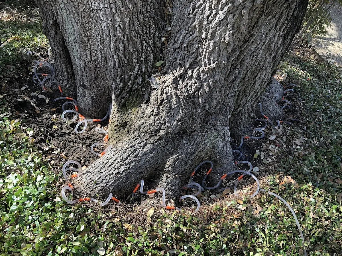 Detailed Shrub and Hedge Trimming job site in Stites