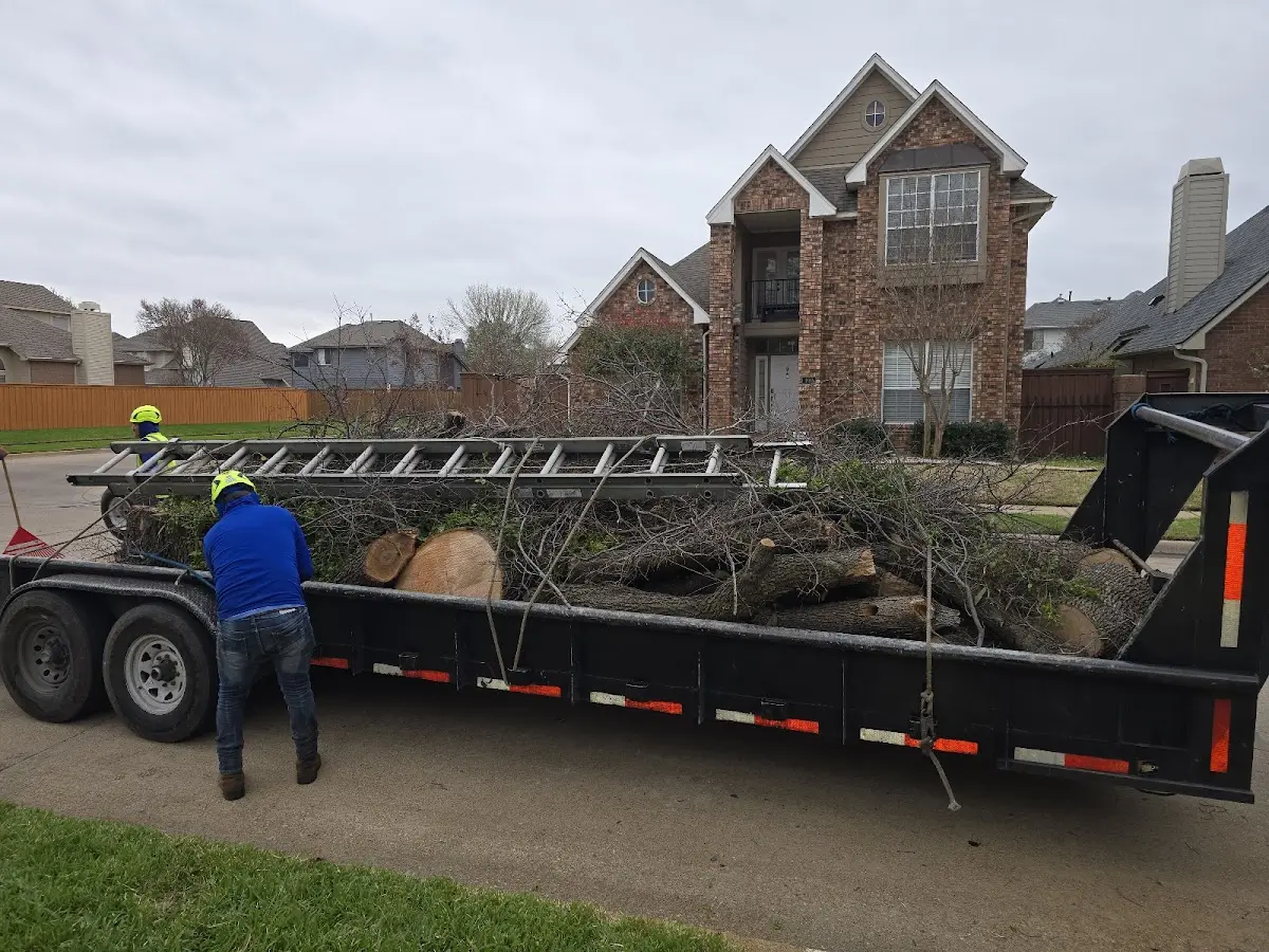 Expert Tree Fertilization with proper safety equipment in Stites